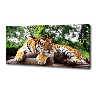 Foto op canvas Tijger op een rots