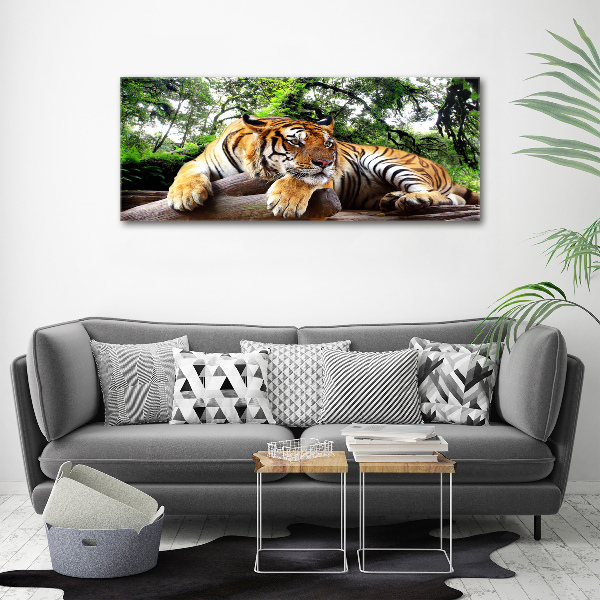 Foto op canvas Tijger op een rots