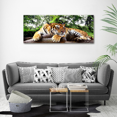 Foto op canvas Tijger op een rots