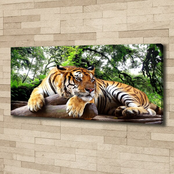 Foto op canvas Tijger op een rots