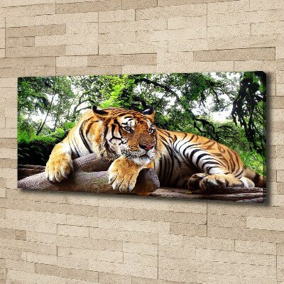 Foto op canvas Tijger op een rots
