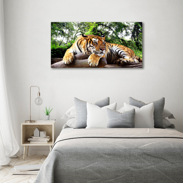 Foto op canvas Tijger op een rots