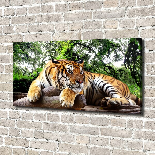 Foto op canvas Tijger op een rots