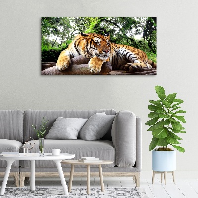 Foto op canvas Tijger op een rots