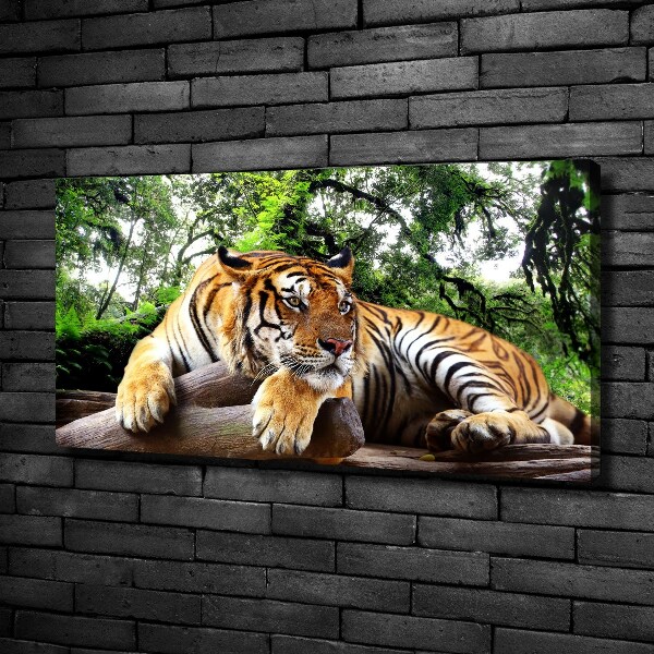 Foto op canvas Tijger op een rots