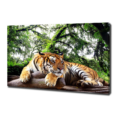 Foto op canvas Tijger op een rots