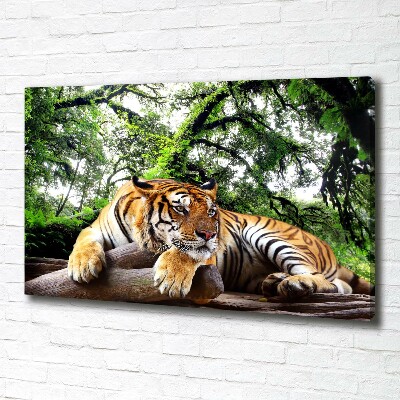 Foto op canvas Tijger op een rots
