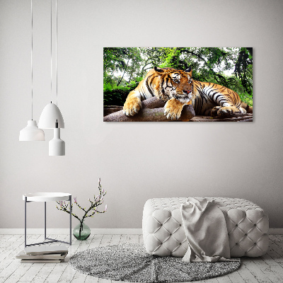 Foto op canvas Tijger op een rots
