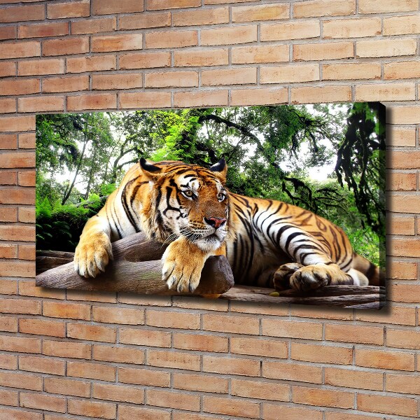 Foto op canvas Tijger op een rots