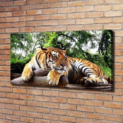 Foto op canvas Tijger op een rots