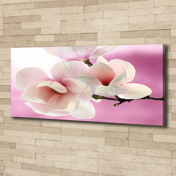 Foto obraz canvas Magnolia