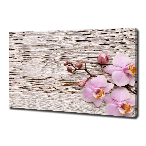 Foto canvas Orchidee op hout