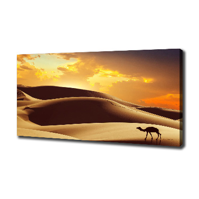Schilderij op canvas Sahara-kameel