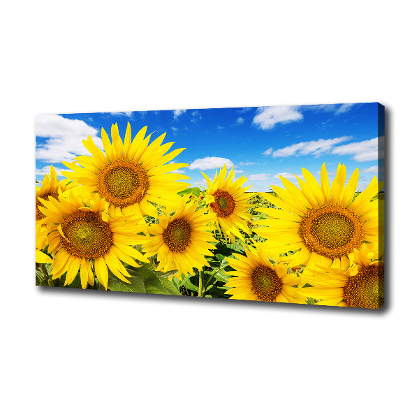 Foto op canvas Zonnebloemen