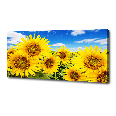 Foto op canvas Zonnebloemen