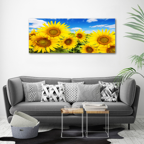 Foto op canvas Zonnebloemen