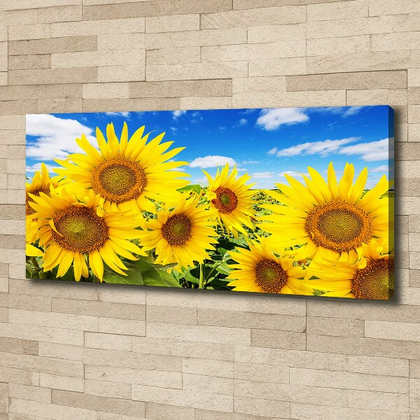 Foto op canvas Zonnebloemen