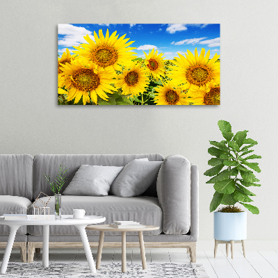 Foto op canvas Zonnebloemen