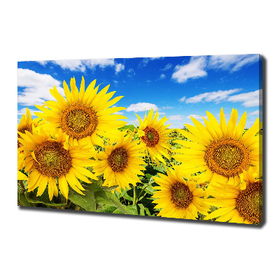 Foto op canvas Zonnebloemen