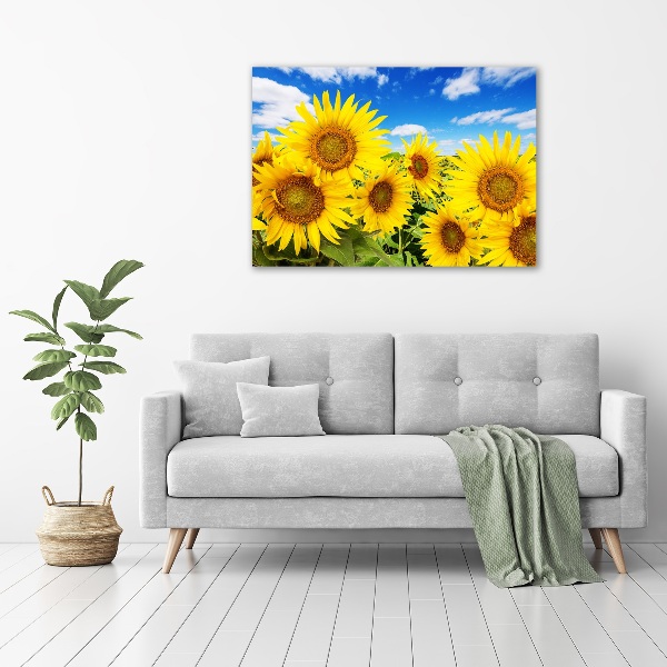 Foto op canvas Zonnebloemen