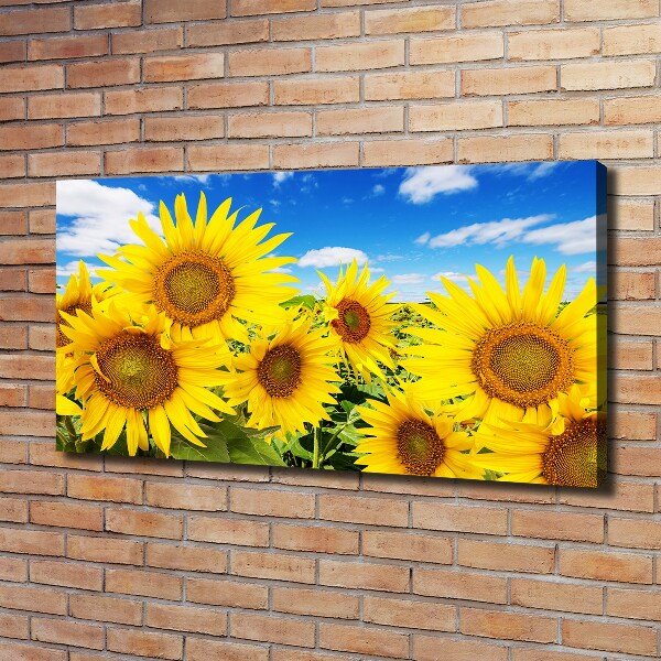 Foto op canvas Zonnebloemen