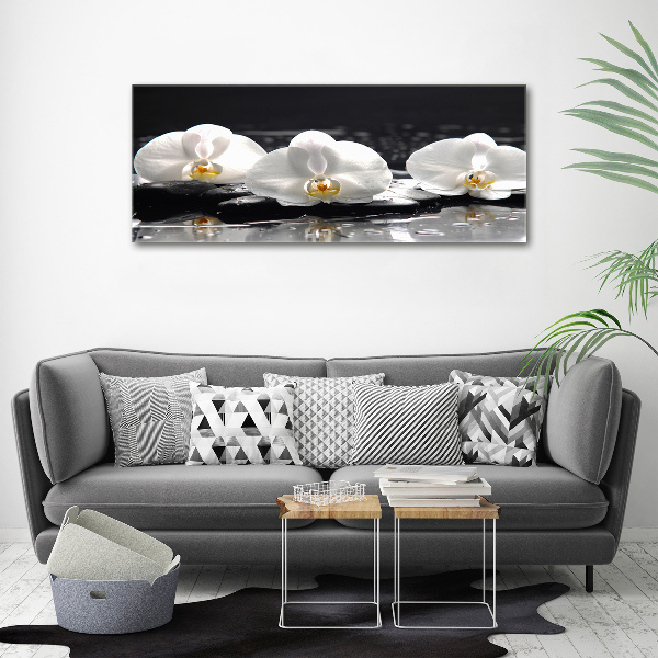 Canvas foto Orchidee