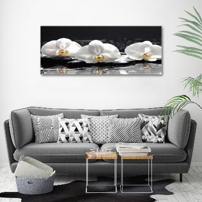 Canvas foto Orchidee