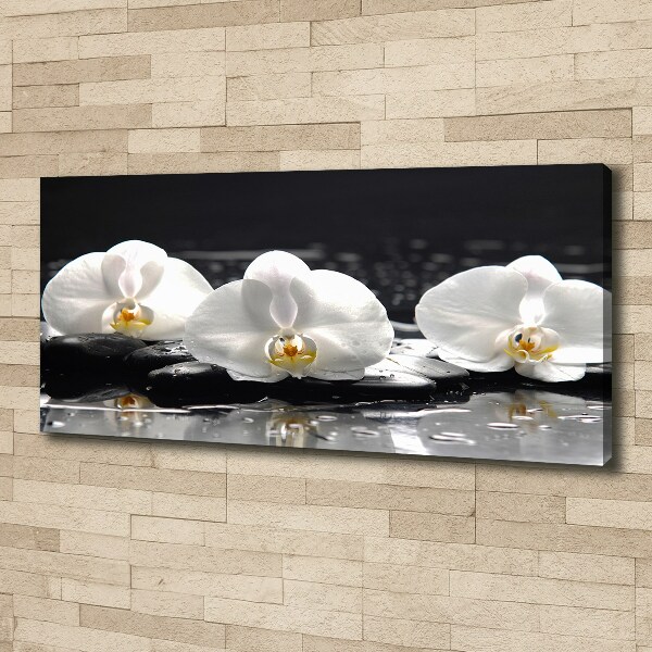 Canvas foto Orchidee
