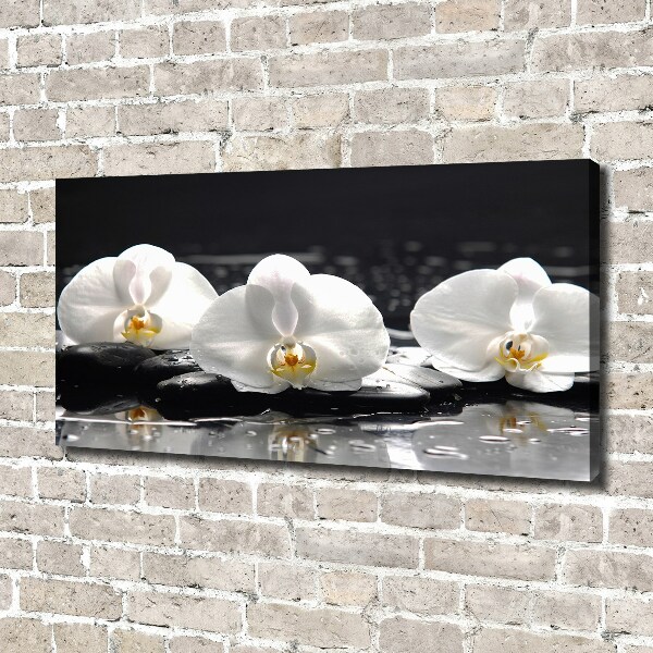 Canvas foto Orchidee