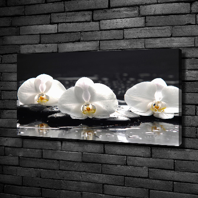 Canvas foto Orchidee
