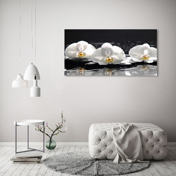 Canvas foto Orchidee