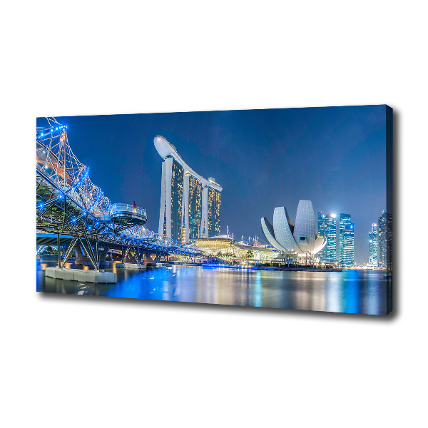Foto op canvas Singapore bij nacht