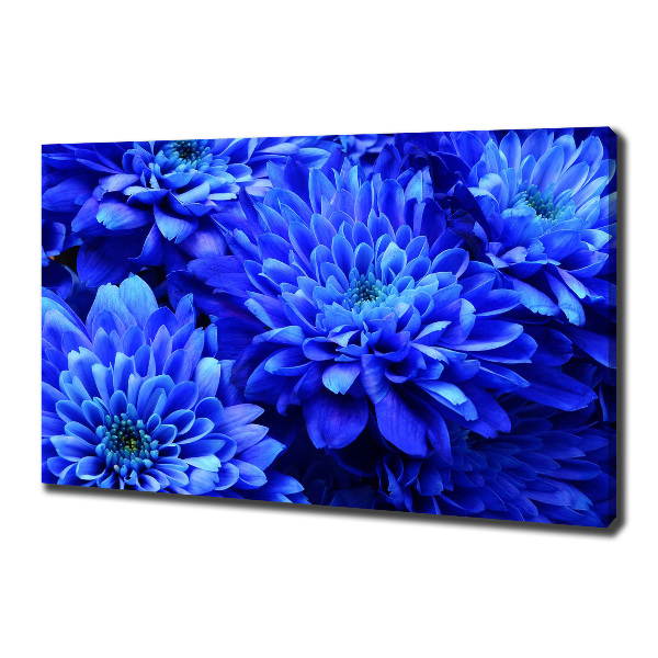 Canvas schilderij Blauwe aster