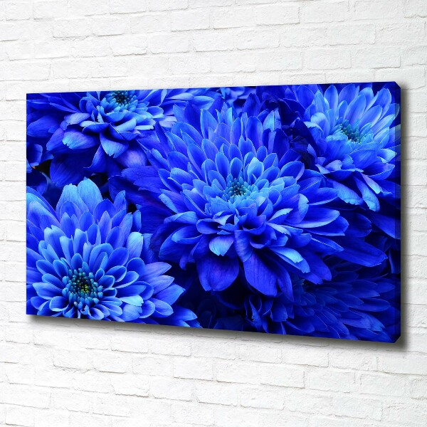 Canvas schilderij Blauwe aster