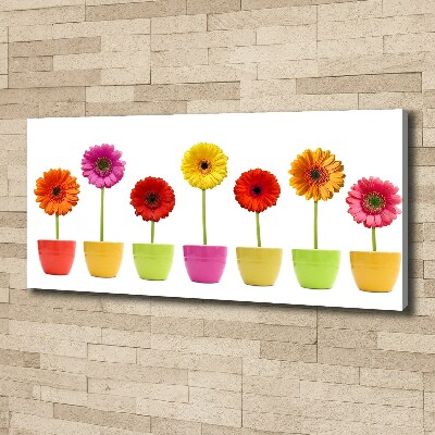 Schilderij op canvas Kleurrijke gerbera's