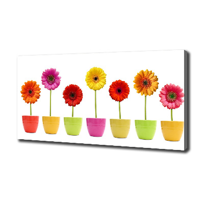 Schilderij op canvas Kleurrijke gerbera's