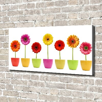 Schilderij op canvas Kleurrijke gerbera's