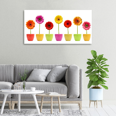 Schilderij op canvas Kleurrijke gerbera's