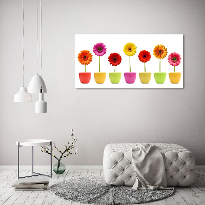 Schilderij op canvas Kleurrijke gerbera's