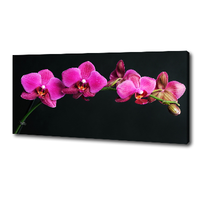 Foto obraz canvas Orchidea