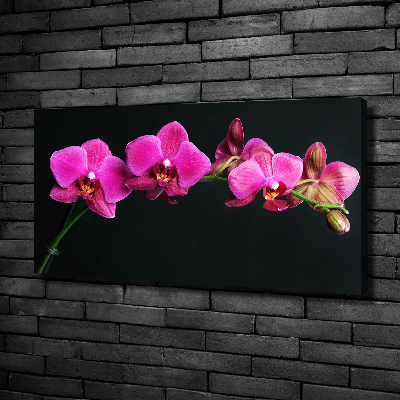 Foto op canvas Orchidee