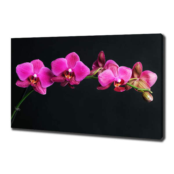 Foto op canvas Orchidee
