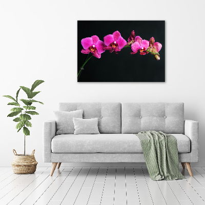 Foto op canvas Orchidee