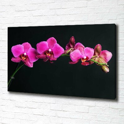 Foto obraz canvas Orchidea