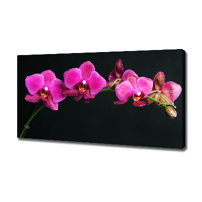 Foto op canvas Orchidee
