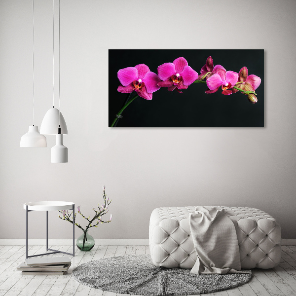 Foto op canvas Orchidee