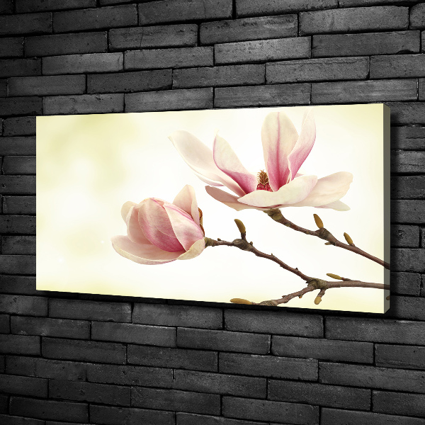 Foto obraz canvas Magnolia