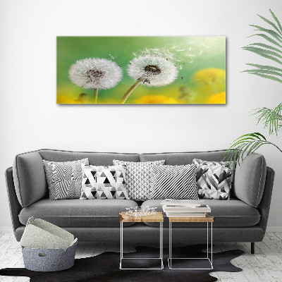 Canvas schilderij Paardenbloemen