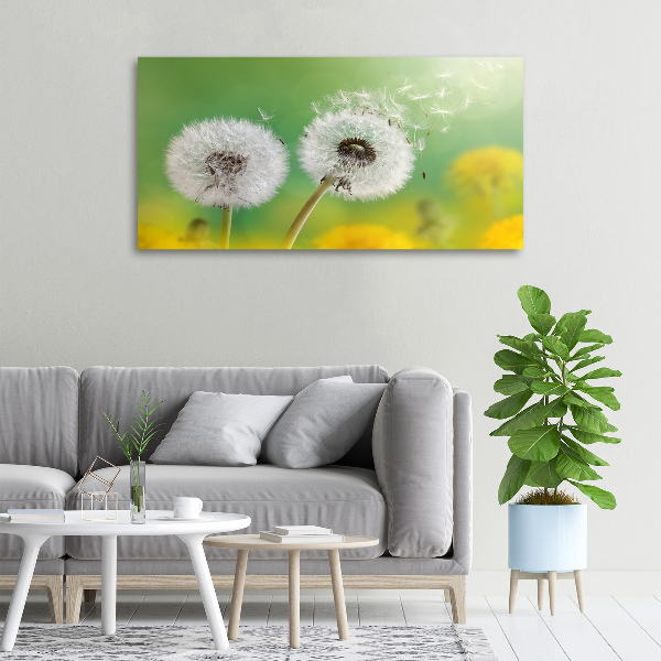 Canvas schilderij Paardenbloemen