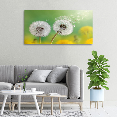 Canvas schilderij Paardenbloemen